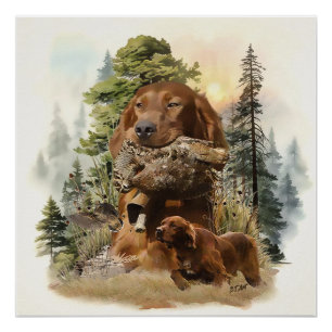 Pôster Irish Setter, Woodcock para caçar, Art