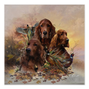 Pôster Irish Setters com Faasants - Caça à Paixão