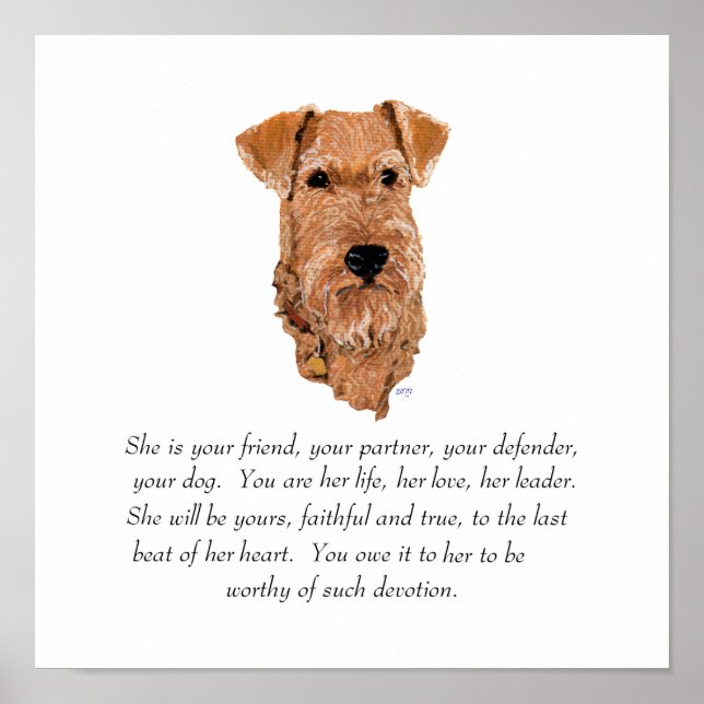 Pôster Irish Terrier Lembrança - Feminino (Frente)