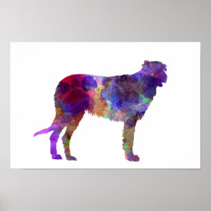 Pôster Irish Wolfhound em aquarela