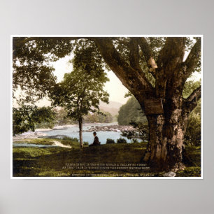 Pôster Irlanda, Avoca Wicklow, poema de Reunião das Águas