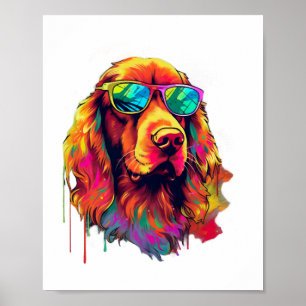 Poster Irlandês Red Setter Dog Raça para um Irlandês Verm