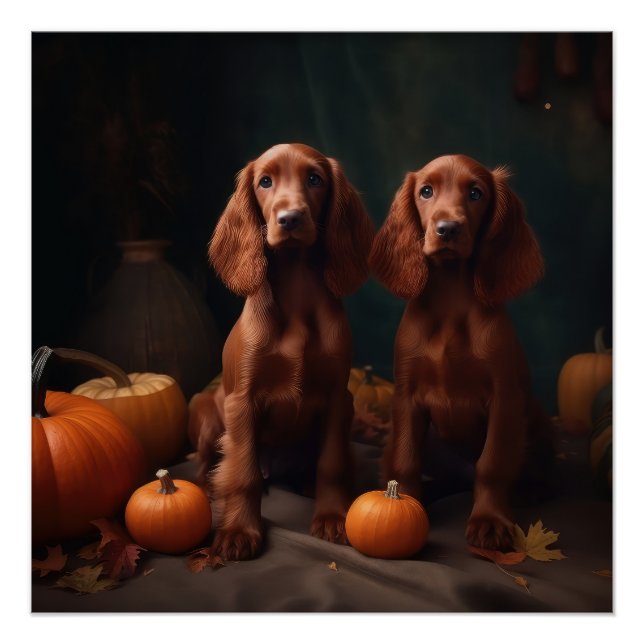 Pôster Irlandês Red Setter Puppy Autumn Delight Pumpkin (Frente)