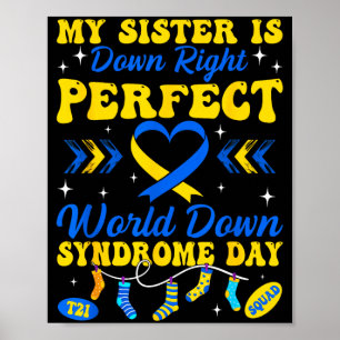 Poster Irmã é absolutamente perfeito mundo síndrome de do