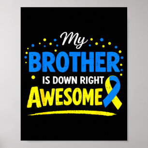 Poster Irmão incrível síndrome de down família