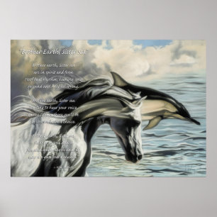 Pôster Irmão Terra, Mar Irmã