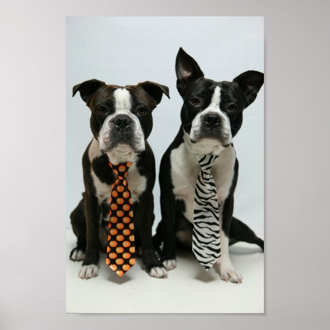 Pôster Irmãos de Boston ポ ス タ ー (Frente)