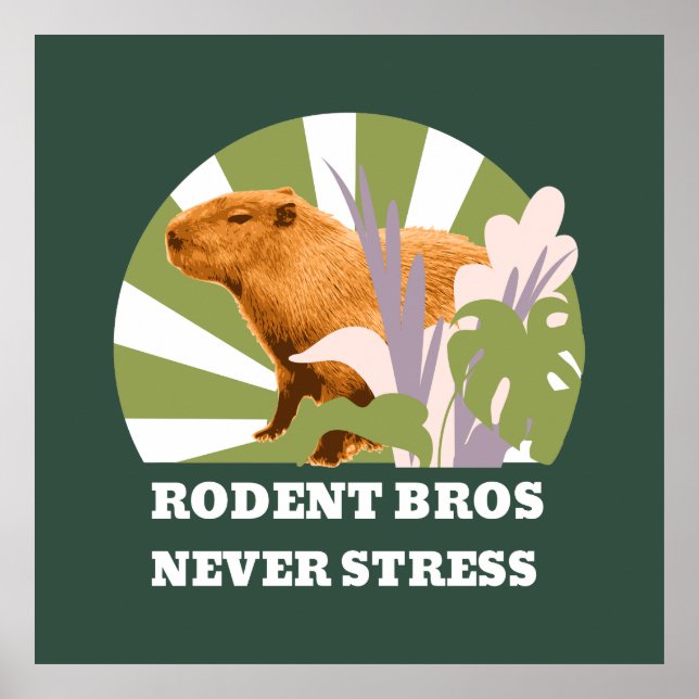 Poster Irmãos Roedores Nunca Estrese Capivara (Frente)