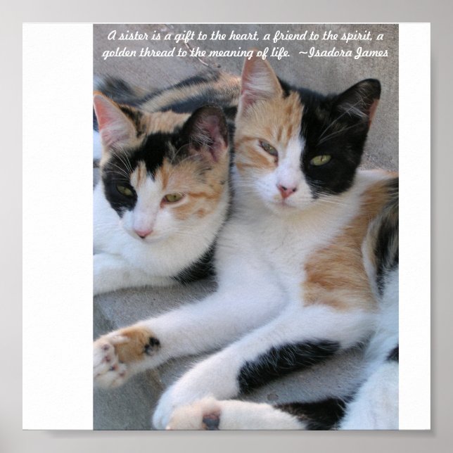 Pôster Irmãs (Frente)