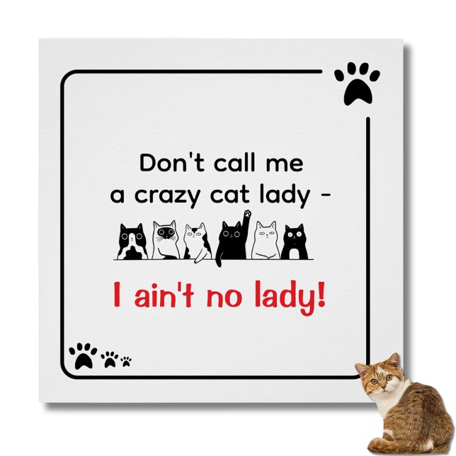 Pôster Irreverent Humor Crazy Cat Lady  (I ain't no lady poster)