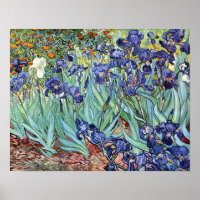 Irrises de Vincent van Gogh 1898