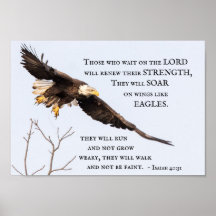 Isaiah 40:31 Aqueles que esperam pelo Senhor, Bíbl