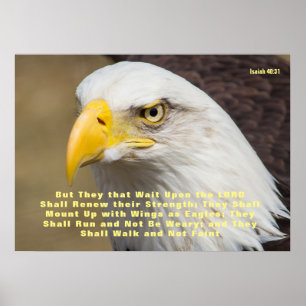Poster Isaiah 40:31 Bible Verse Mount on Wings