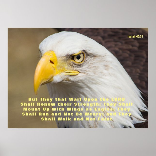Poster Isaiah 40:31 Bible Verse Mount on Wings (Frente)