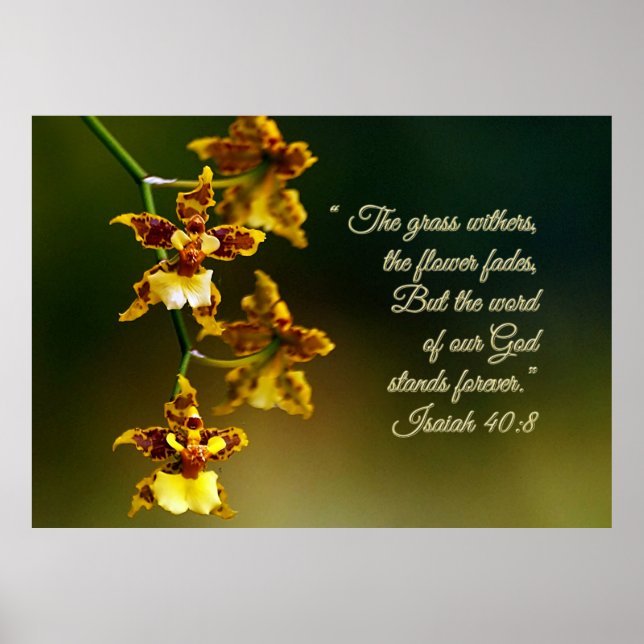 Poster Isaiah 40:8 Inspiracional (Frente)