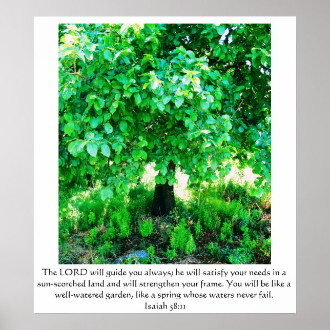 Poster Isaiah 58:11 (Frente)