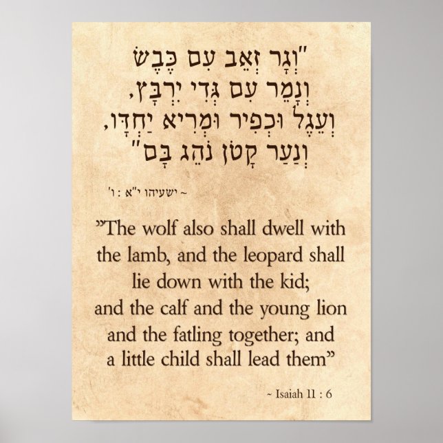 Poster Isaiah's Wolf and Lamb Prophecy  Hebrew - English (Frente)