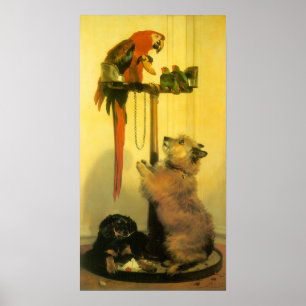 Pôster Islay, Tilco, a Macaw and Love Birds by Landseer