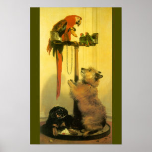 Pôster Islay, Tilco, a Macaw and Love Birds by Landseer