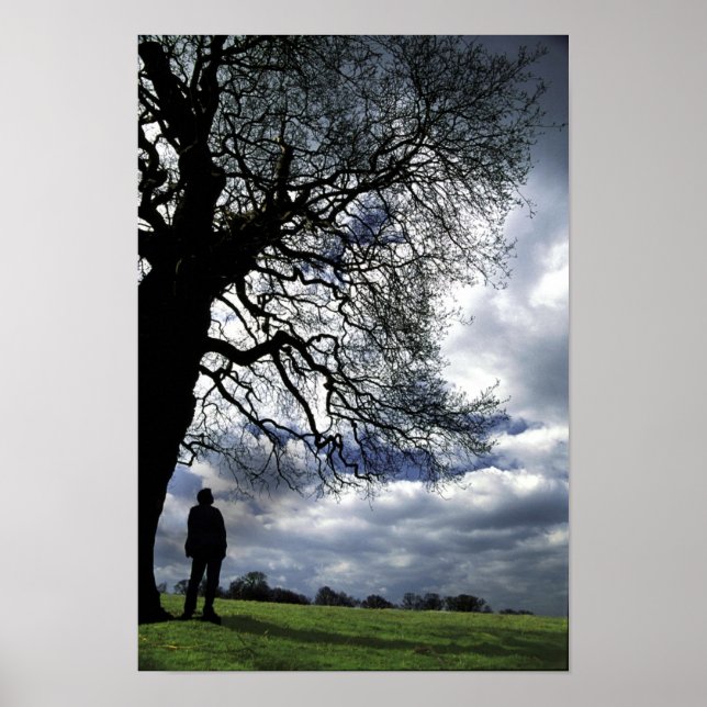 Pôster Isso Foi Com A Árvore Vento (Frente)