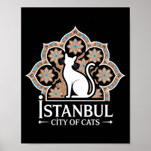 Poster Istambul Cidade Dos Gatos Patrimonio Turco Hagia S