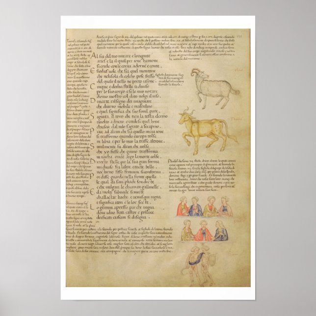 Poster Itália 87 fol.171 Página ilustrativa da astrologia (Frente)