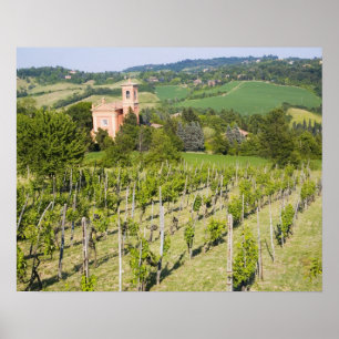Pôster Italia, Bolonha, vista através do vinhedo a Chies