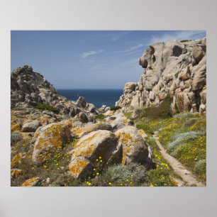Pôster Itália, Sardenha, Santa Teresa Gallura. Capo 2