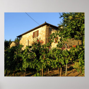 Poster Itália, Toscana, Greve. Vinhos de verão tardios