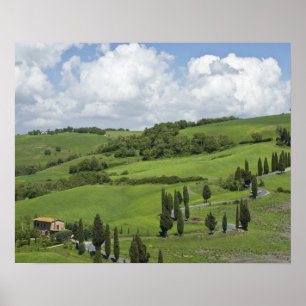 Poster Itália, Toscana. La Foce. Uma estrada curva sobe