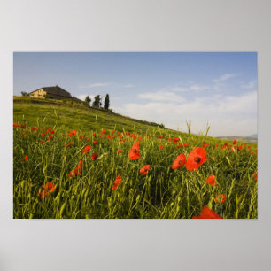 Poster Itália, Toscana, Villa Toscana na Primavera Com