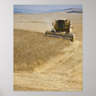 Poster Italia. Toscânia. Montalcino 4