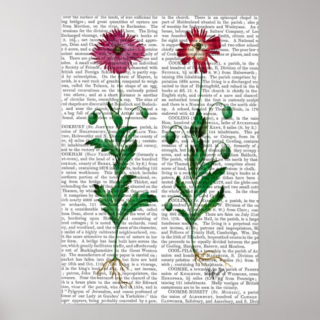 Poster Italian Carnation 3 (Frente)
