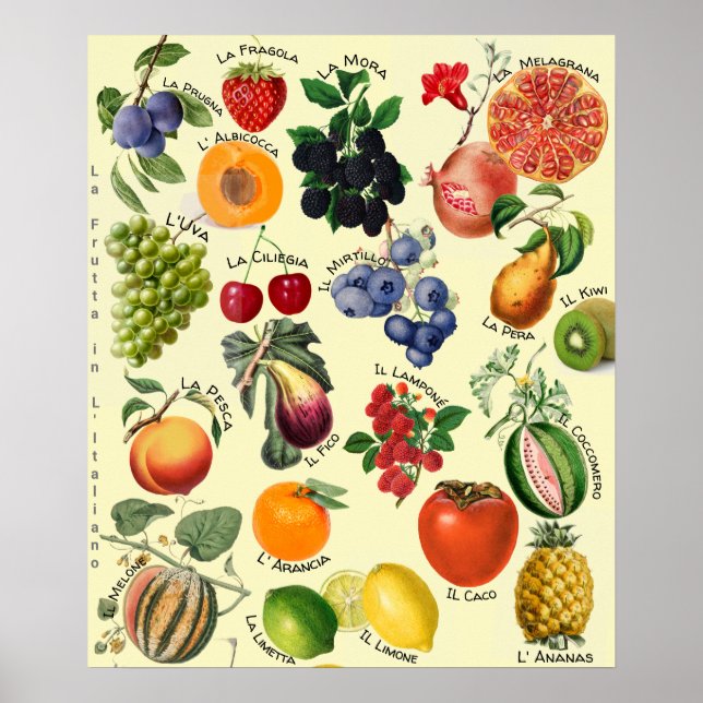 Poster Italian Fruit Language Chart  (Frente)