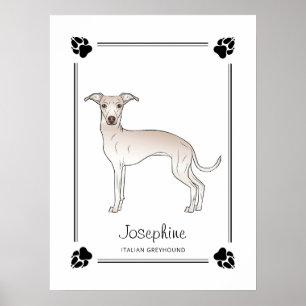 Poster Italian Greyhound Creme Com Patas E Texto Personal