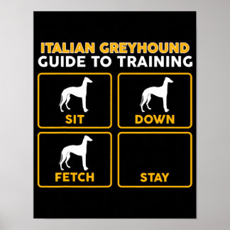 Poster italian greyhound  funny guide to training