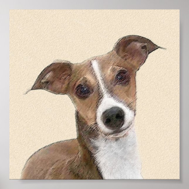 Pôster Italian Greyhound Painting - Cute Original Dog Art (Frente)