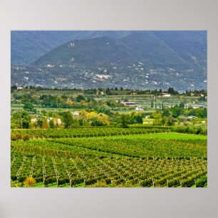 Poster Italy, Lake Garda. The shores of Lake Garda are