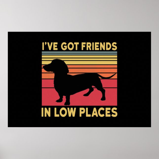 Poster Ive got friends in low places (Frente)