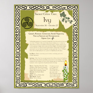 PÔSTER IVY CELTIC SACRED TREE
