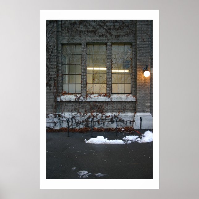 Poster Ivy e Luzes (Frente)