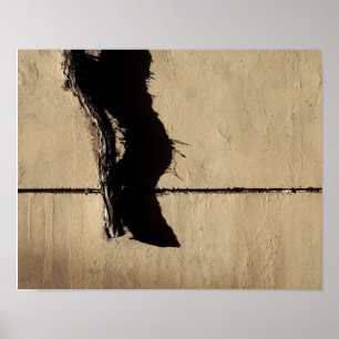 Pôster Ivy Vine e Shadow