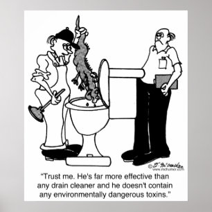 Pôster Jacarés como líquidos de limpeza do dreno