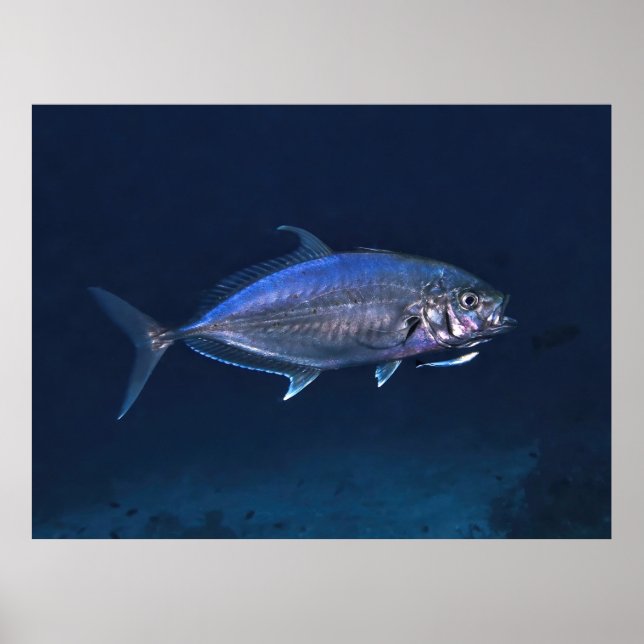 Poster Jack Clearing (Frente)