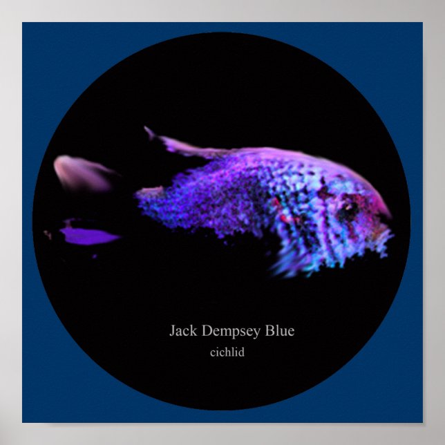 Pôster Jack dempsey azul (Frente)