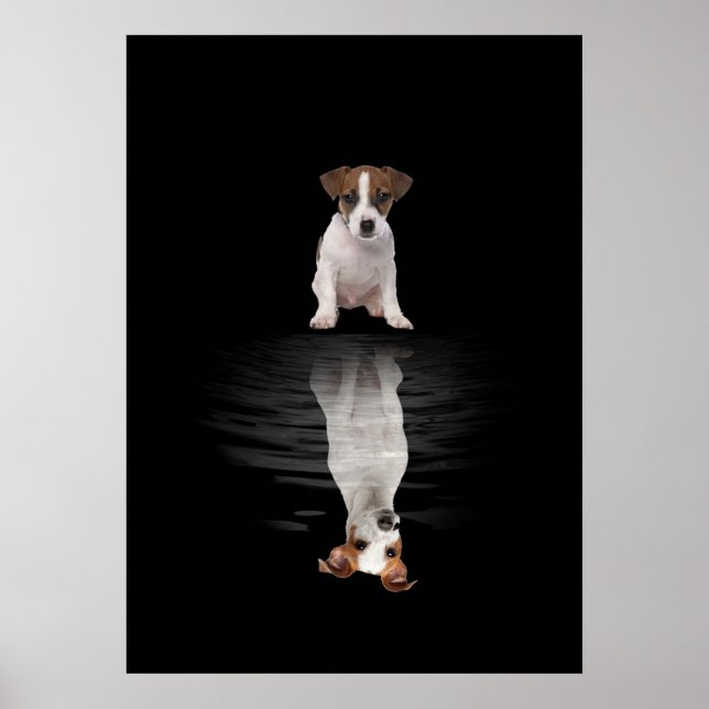 Poster Jack Russell Love Cute Jack Russell (Frente)