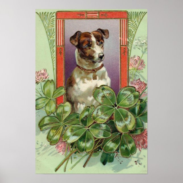 Poster Jack Russell Terrier (Frente)