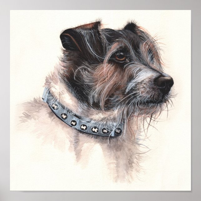 Poster Jack Russell Terrier pintado em Watercolor (Frente)
