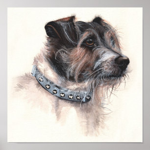 Poster Jack Russell Terrier pintado na Aquarela