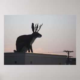 Pôster Jackalope